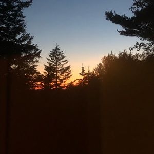 Meet your Posher, Trina